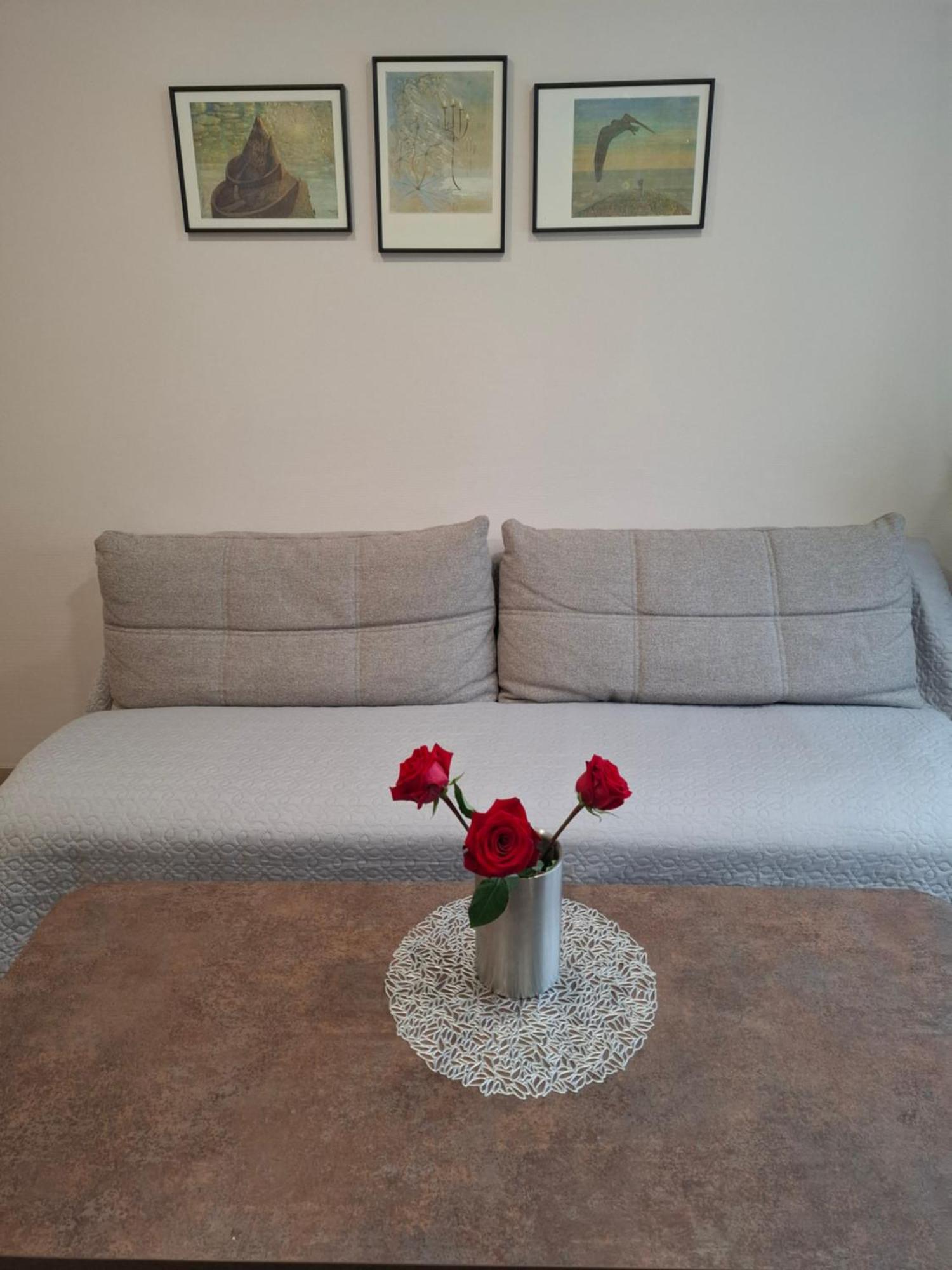 Apartamentai Auris Druskininkai Extérieur photo